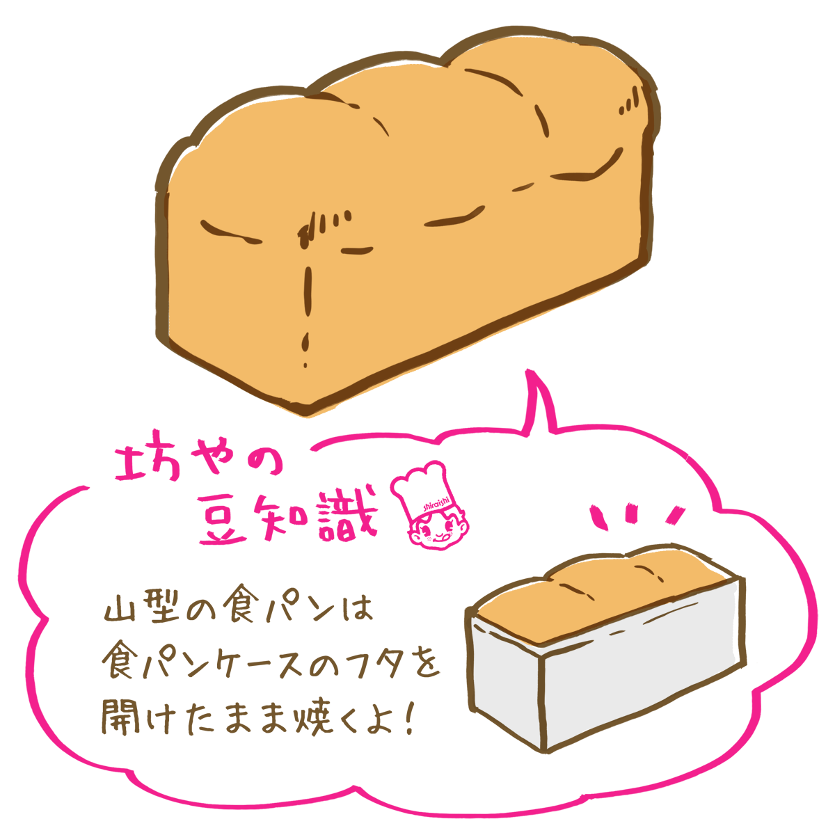 ネオトースト シライシパン